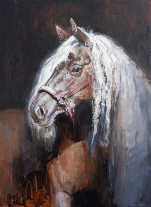 olejomaľba kone portréty kôň ručne malované obrazy Certifikácia originality. Rýchle doručenie.krásne olejomaľby akrylová maľba olejomaľba biely kôň olejomaľba abstrakcia